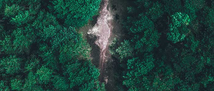 Environmental clearing
