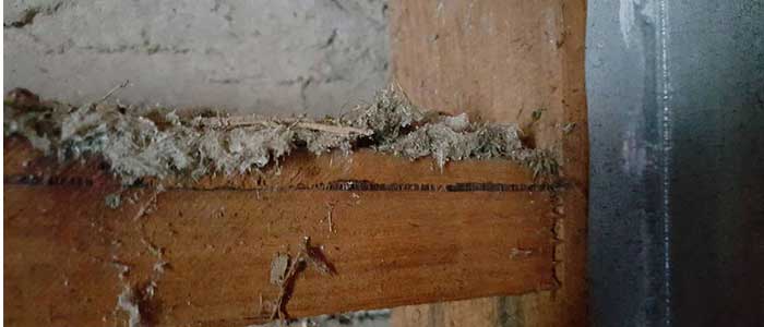 Asbestos
