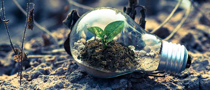 Environmental Audit Report
