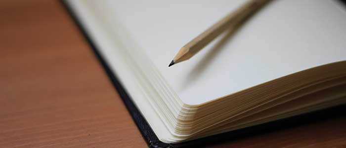 Construction Log Book template