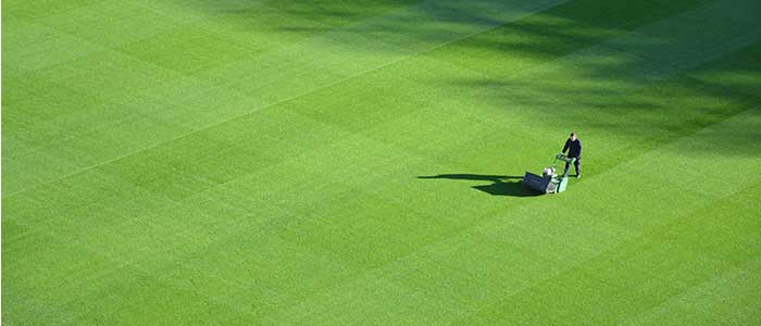 Safe Work Method Statement for Lawn Mowing