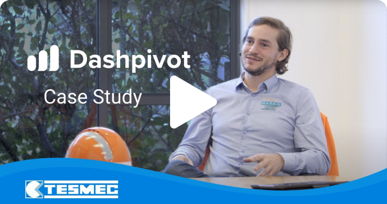 TESMEC Dashpivot case study