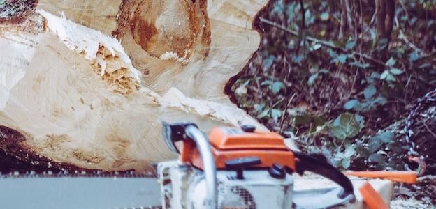 OSHA 300 log requirements