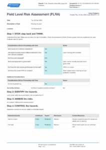Field Level Risk Assessment Template