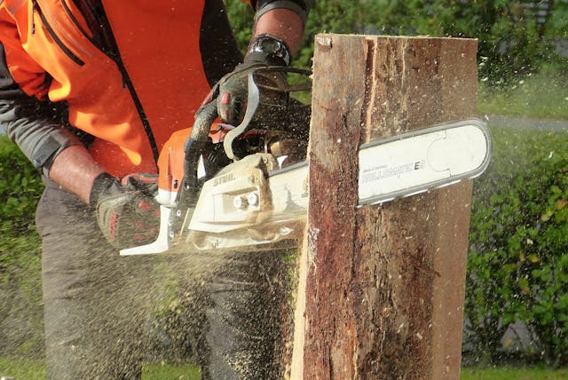 chainsaw eye protection chainsaw eye protection